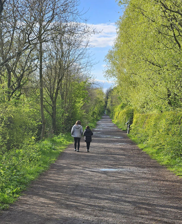 donna walking on a road full of green trees